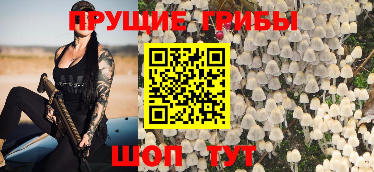 Майкоп  Галлюциногенные грибы Psilocybe  Вход с VPN 