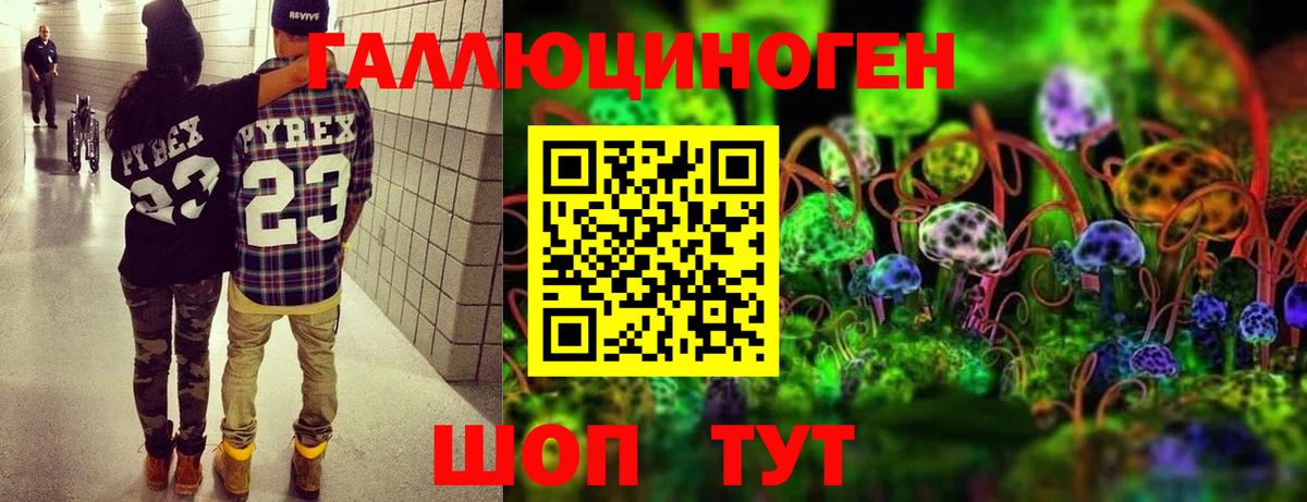 Псилоцибиновые грибы MAGIC MUSHROOMS Майкоп